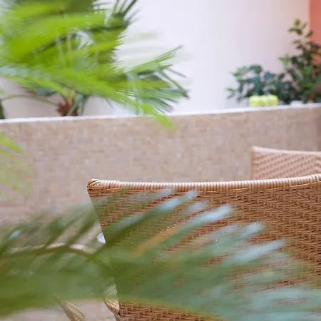 Anemolia * Vassiliki