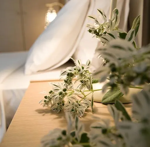 Anemolia Apartman *