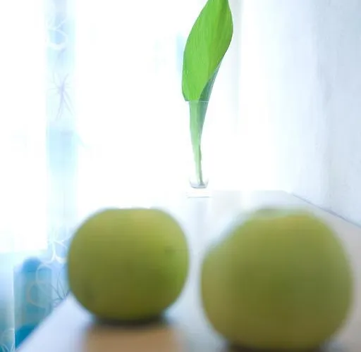 Anemolia Apartman