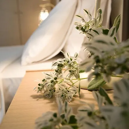 Anemolia Lägenhet *