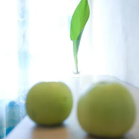 Anemolia Apartment